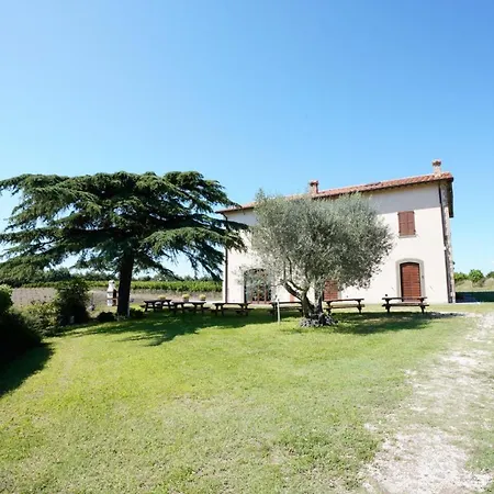 Vigna Sul Montefiascone