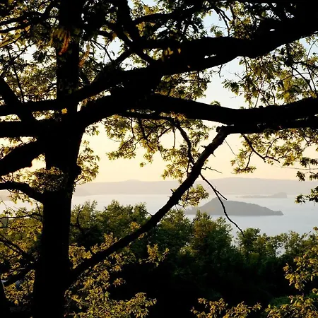 Vigna Sul Montefiascone